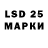 Ecstasy Philipp Plein stellated