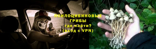 не бодяженный Алзамай