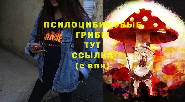 не бодяженный Алзамай